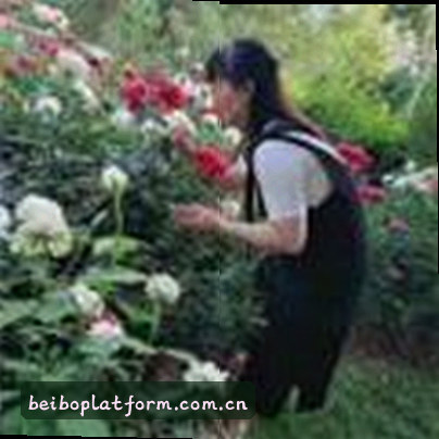 刘总